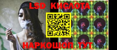 амф Владимир