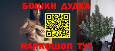 амф Владимир