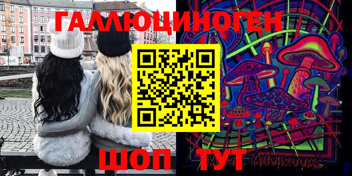 Камень-на-Оби  Галлюциногенные грибы Psilocybe  Вход с VPN 