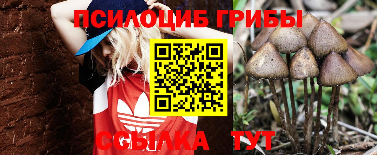 Псилоцибиновые грибы мухоморы Камень-на-Оби